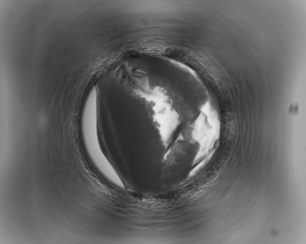 X0000099290641200805231321