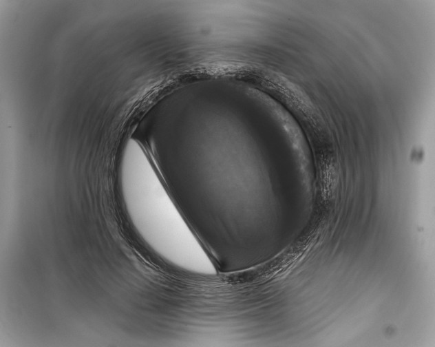 X0000099290644200805231322