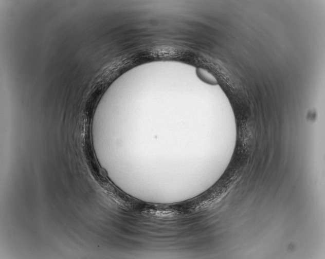 X0000099290645200805231322