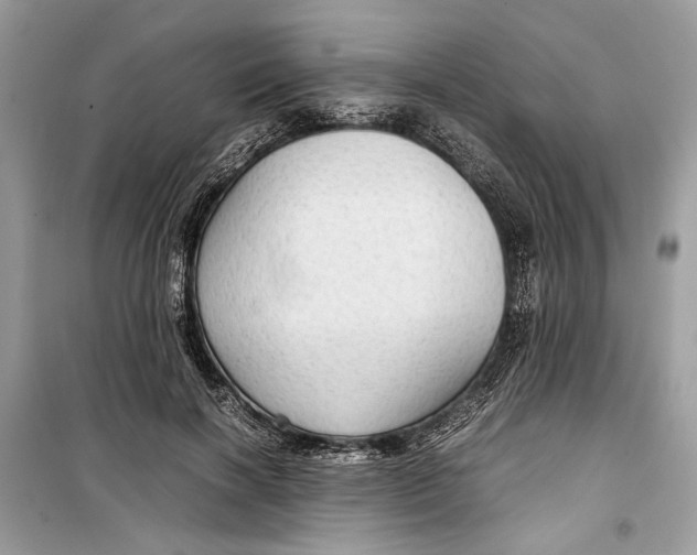 X0000099290646200805231322