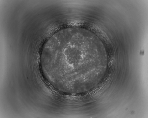 X0000099290647200805231322