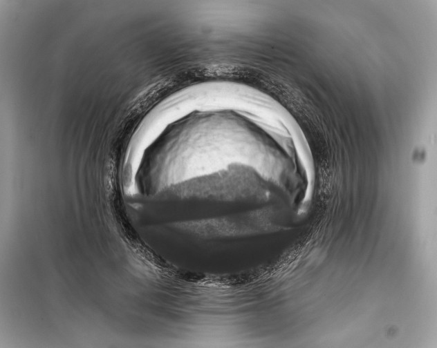 X0000099290648200805231322