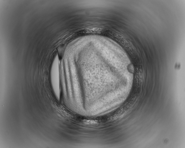 X0000099290649200805231322