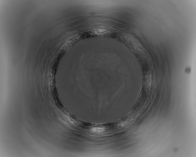 X0000099290653200805231322