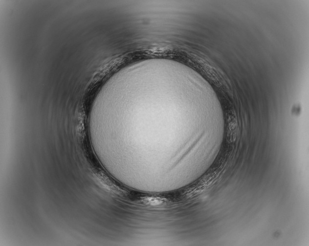 X0000099290654200805231322