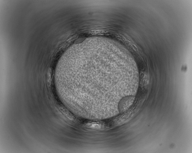 X0000099290655200805231322