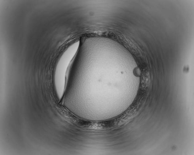 X0000099290656200805231322