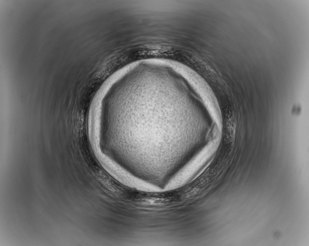 X0000099290657200805231322