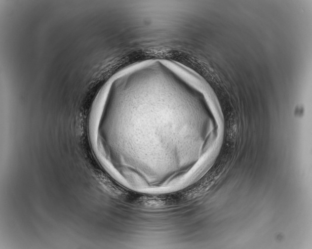 X0000099290658200805231322