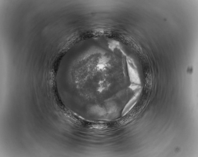 X0000099290659200805231322