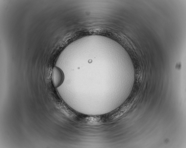 X0000099290660200805231322