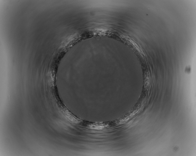 X0000099290661200805231322