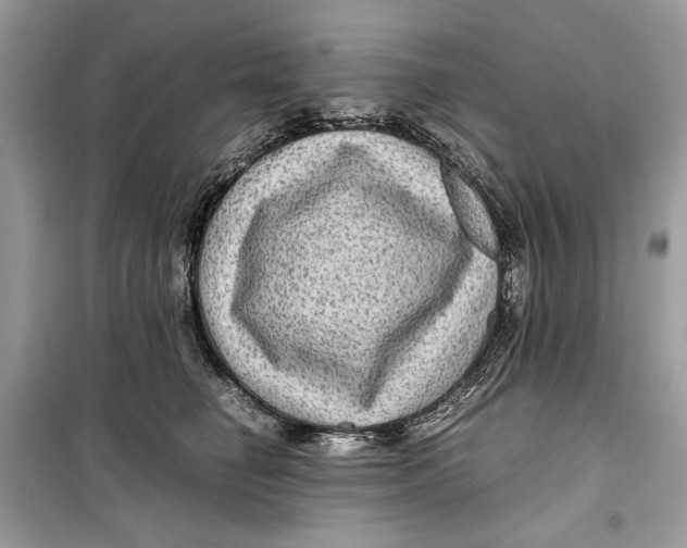 X0000099290662200805231322