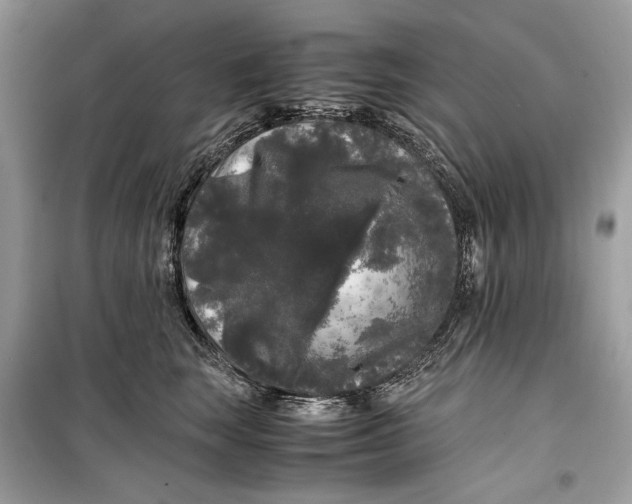 X0000099290663200805231322