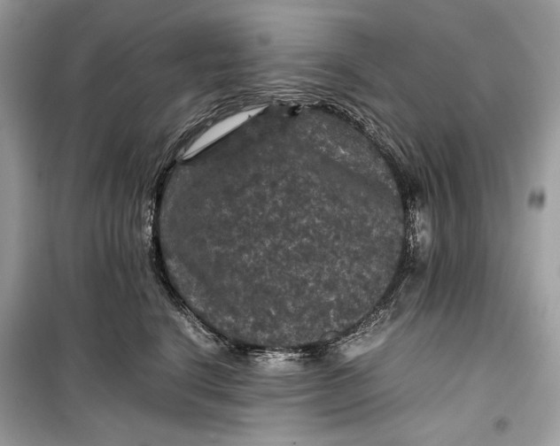 X0000099290664200805231322