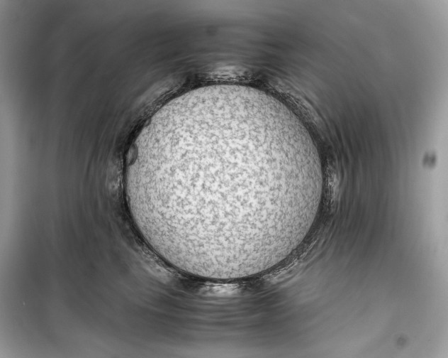 X0000099290665200805231322