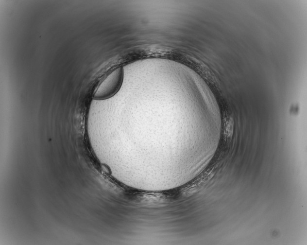 X0000099290666200805231322