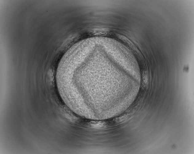 X0000099290667200805231322