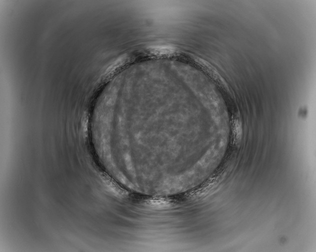 X0000099290668200805231322