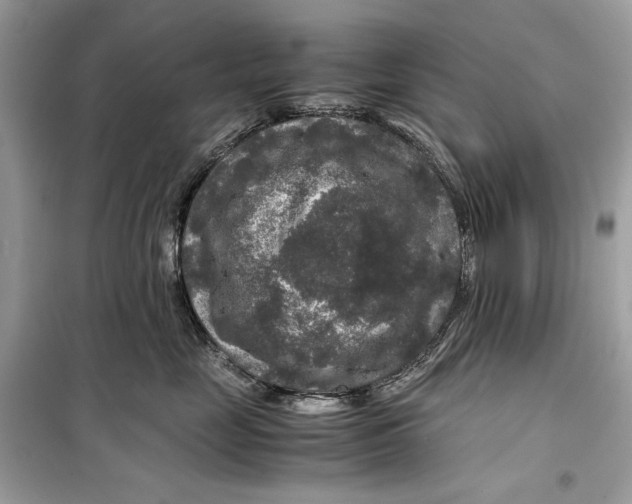 X0000099290669200805231322