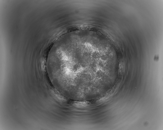 X0000099290671200805231322