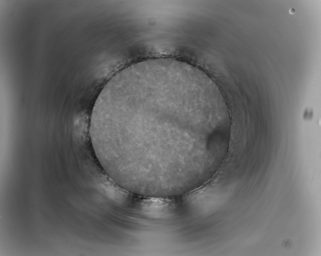 X0000099290672200805231322