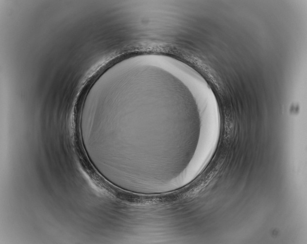 X0000099290674200805231321