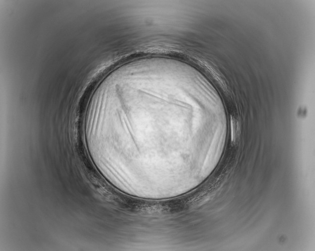 X0000099290675200805231321