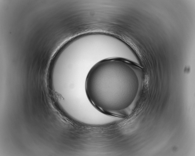 X0000099290676200805231321