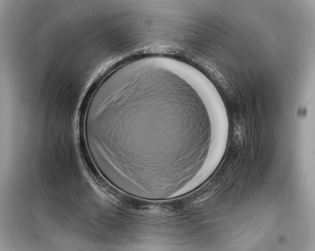 X0000099290678200805231321