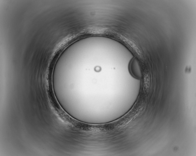 X0000099290682200805231321