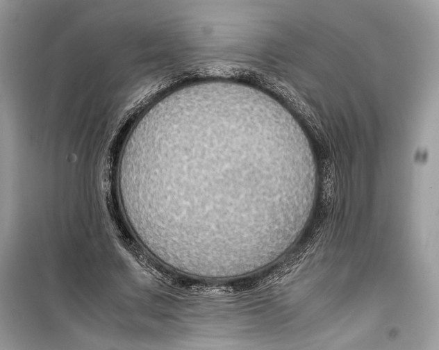 X0000099290683200805231321