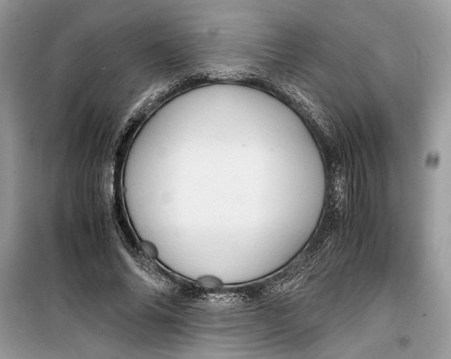 X0000099290686200805231321