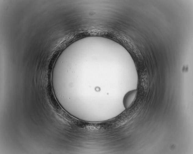 X0000099290690200805231321