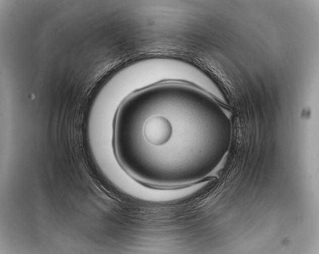 X0000099290692200805231321