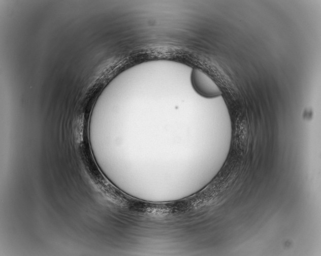 X0000099290694200805231321