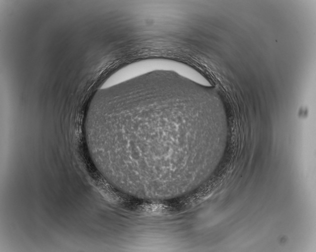 X0000099290695200805231321