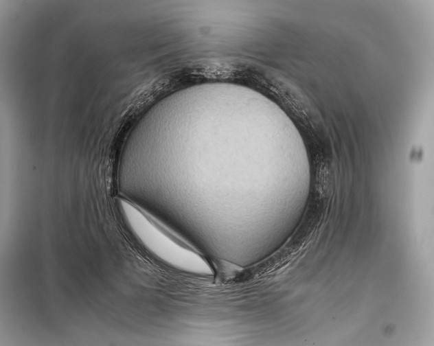 X0000099290697200805231321