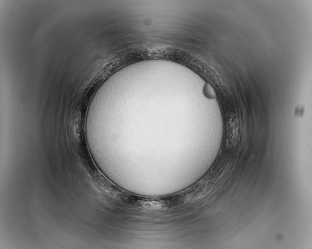 X0000099290698200805231321