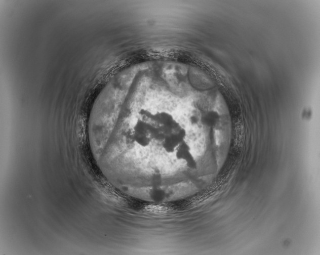 X0000099290699200805231321