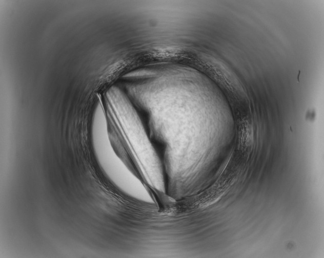 X0000099290700200805231321