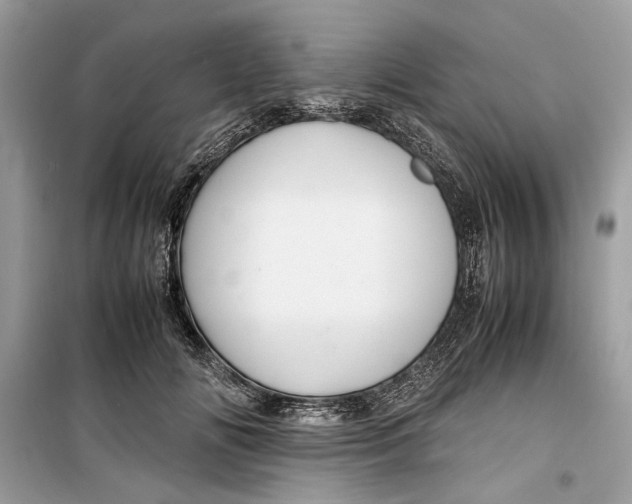 X0000099290702200805231321