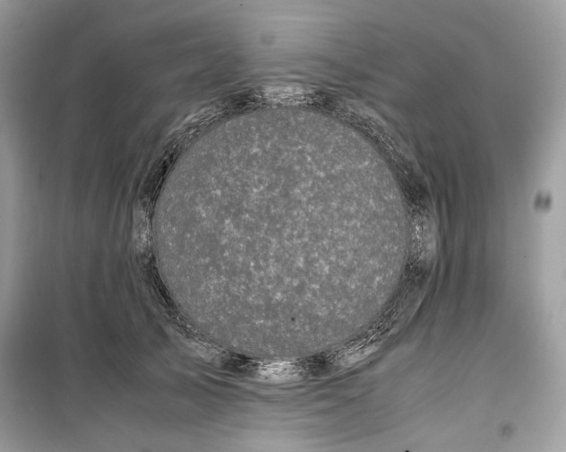 X0000099290705200805231321