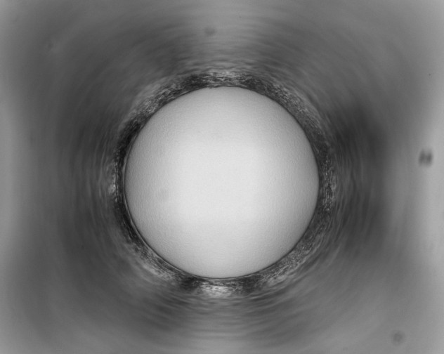 X0000099290706200805231321