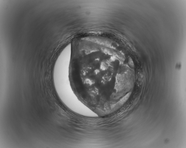 X0000099290707200805231321