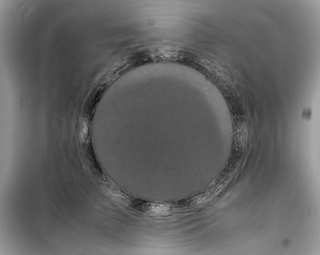 X0000099290709200805231321