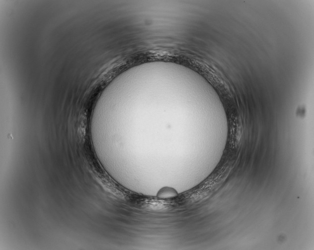 X0000099290710200805231321