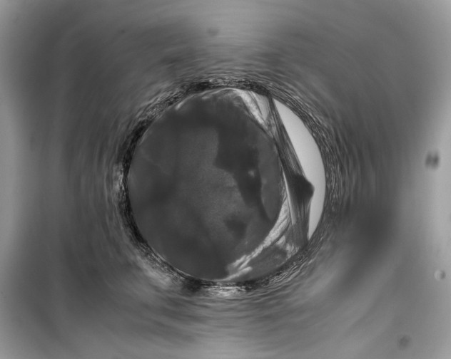 X0000099290711200805231321