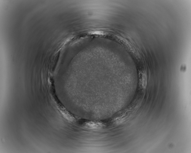 X0000099290712200805231321