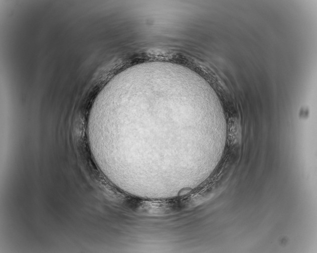 X0000099290713200805231321